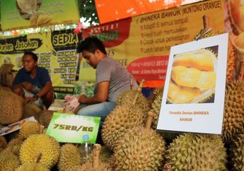 Yuk Cicipi 20 Jenis Durian Asli Indonesia, Kamu Bisa Temukan di Tempat Ini