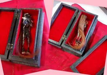 Gempar! Jenglot Si Penghisap Darah dikirim Pakai Kurir, Nggak Percaya Lihat Videonya