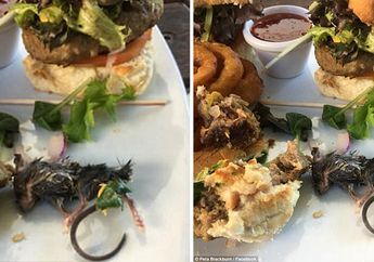 Bangkai Tikus Ditemukan dalam Burger yang Dimakan Pria ini, Kok Bisa?