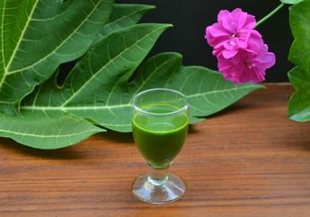 Rasanya Pahit, Tapi Tanaman Hijau Ini Ampuh Cegah Demam Berdarah, yuk Intip Cara Bikin Jusnya!