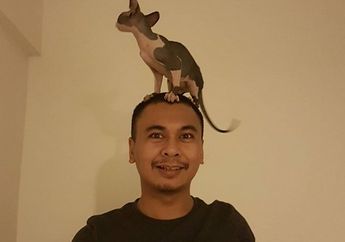 Masuk ke Dalam 10 Jenis Kucing Termahal, Harga Kucing Peliharaan Raditya Dika Ini Bikin Kamu Tahan Napas!