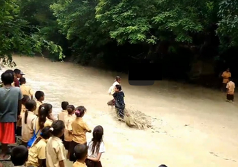 Demi Bisa Sekolah, Puluhan Anak SD di NTT Nekat Seberangi Sungai Berarus Deras, Lihat Videonya