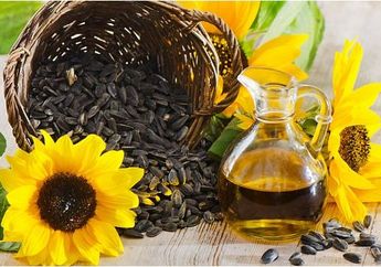 Waspada, Ini Bahaya yang Menghantui Jika Keseringan Mengkonsumsi Minyak Bunga Matahari dan Minyak Ikan!