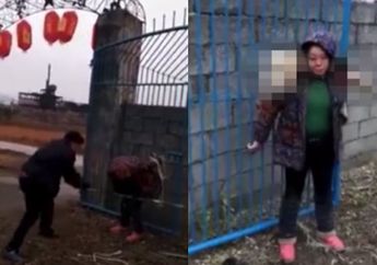 Meracuni Anjing Hingga Mati, Seorang Wanita Dihakimi dan Dipukuli Warga yang Geram