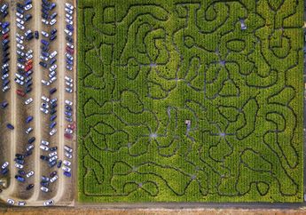 Ada di Film "The Maze Runner", Ini Dia Taman Labirin yang Paling Menakjubkan di Dunia