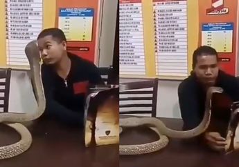 Kocak Tapi Ngeri, Seorang Pria Nggak takut Dipatok dan Nekat Makan Bareng Ular Kobra