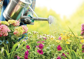 Daripada Beli, Kamu Juga Bisa Bikin Pupuk Tanaman Cair Sendiri Loh!