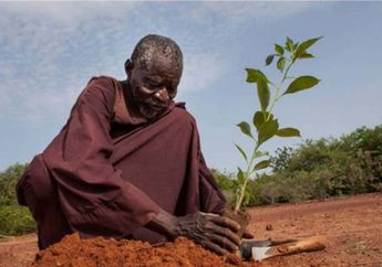 Dianggap Gila, Seorang Pria Lawan Gurun Tandus dengan Cara Tradisonal, Selanjutnya Orang Ini Malah Dihormati