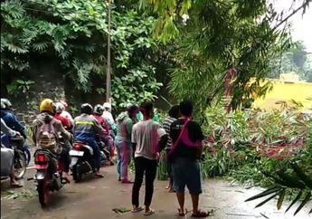 VIDEO : Longsor di Jalan Ciawi, Bogor Membuat Pohon Menghadang Para Pengendara