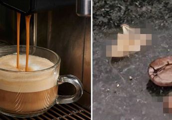 Perusahaan Pengendalian Hama Mengungkapkan Bahwa 40 Persen Kecoa Ada di Mesin Kopi!