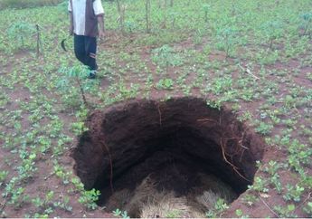 Gunungkidul Ditereror 4 Lubang Misterius, 'Atasnya Sekitar 1,5 Meter, Bawahnya Sekitar 3 Meter'