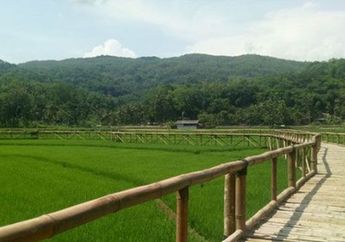 Wisata Sawah Sukorame, Wisata Baru yang Bakal Saingi keeksotisan Bukit Mangunan