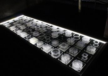 Kamu Nggak Bakal Percaya, Karya Rumit Ini Cuma Dibuat dari Serpihan Dandelion loh