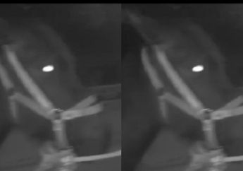 Terekam CCTV, Seorang Pria Tega Seret Kudanya yang Sakit dengan Mobil 