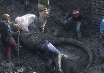 Geger, Seorang Petani Menemuan Binatang Besar Mirip Dinosaurus!