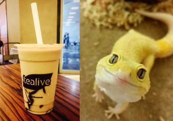 Mengaku Ada Kadal Dalam Bubble Tea yang Diminumnya, Seorang Pelanggan Minta Ganti Rugi Rp 34,6 Juta