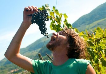 Aroma Makanan Ini Bikin Suami Istri Mesra di Ranjang, Cobain Deh!