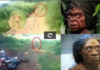 Heboh Munculnya Suku Kemang di Belantara Hutan Singkil, Simak Ciri-Cirinya