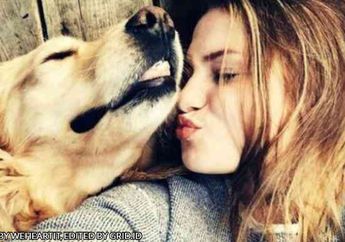 Selamat Tahun Baru Imlek! Ini Nih 4 Aspek Kehidupan yang Perlu Kamu Perhatikan dari Anak-anak Bershio Anjing