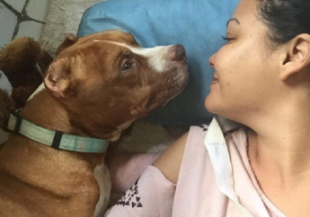 Melanie Subono Tak Permasalahkan Uang Tuntutan