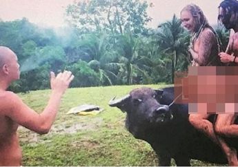 Gila, Pria Ini Adakan Tur Naik Kerbau Tanpa Kenakan Baju!