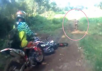 Malaysia Juga Punya Makhluk Purba, Bahkan Ngakunya Bagian Dari Suku Mante