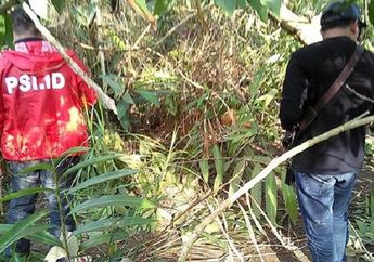 Sudah 4 Hari Pencarian Dilakukan, Pengemudi Taksi Online yang Menghilang Belum Ditemukan, Ini Kata Paranormal!