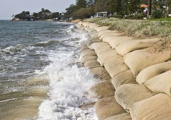 Gawat, Studi Baru Temukan Ketinggian Air Laut Naik 4 Cm Pertahunnya