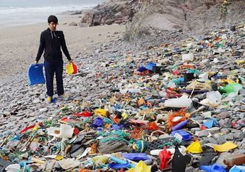 Partikel Plastik Beracun Ditemukan dalam Ikan Laut, Bisa Bahaya Buat Tubuh Manusia!