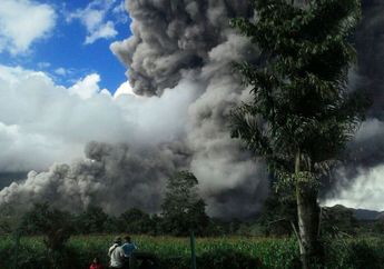 Duh! Gunung Sinabung Kembali Erupsi, Abu Gunung Sinabung Sampai Aceh