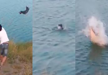 Netizen Hujat Postingan Anak Anjing Dimangsa Buaya, Lainnya Ungkap Fakta Pembasmian