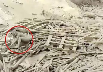 Dramatis, Video Seorang Wanita Penuh Lumpur Muncul Dari Derasnya Banjir Besar