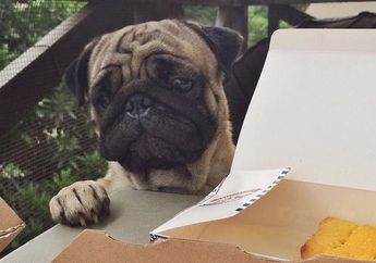 Melanie Subono: Nina itu Fighter Kayak Gue, Dia Punya Benda Kesayangan yang Gue Harap Bikin Pulang!