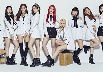 Tak Hanya Petisi Pemerintah Untuk Penyelidikan Dugaan Sajaegi MOMOLAND, Hanteo Chart Juga Akan Pakai Cara Lain!