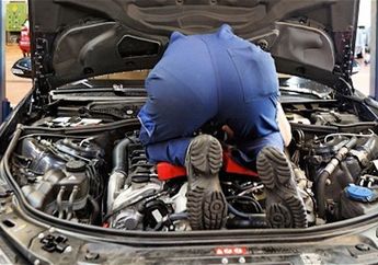 Curiga Dengar Suara Berisik dari Mesin Mobil, Seorang Pria Temukan Binatang Pembunuh di Dalamnya