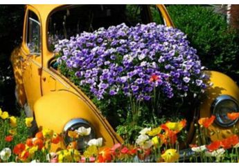 Anti Mainstream, Ini Dia 7 Inspirasi Pot Tanaman dari Barang Rongsokan