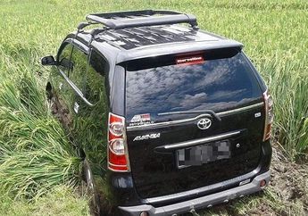 Burung Peliharaan Hendak Dimangsa Kucing, Pengemudi Panik Hingga Mobilnya Terperosok ke Sawah