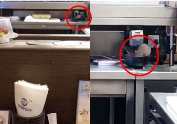 Video Tikus Berkeliaran di Dapurnya Tersebar, Restoran Sushi Terkenal Ini Minta Maaf