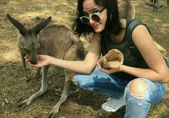 Tatjana Saphira Selfie Bareng Kangguru di Lone Pine Koala Sanctuary, Cantik Loh!