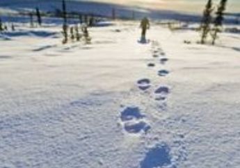 Seperti Kisah Sherlock Holmes, Polisi Berhasil Temukan Pencuri Berkat Jejak Kaki di Salju