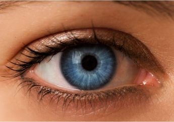 Mengira Mata Mengalami Iritasi, Ternyata Ada 14 Cacing Bersarang di Sana, kok Bisa ya?