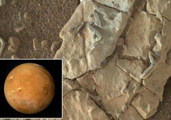 Seorang Ilmuan Mengatakan Bahwa NASA Telah Menyembunyikan Bukti Fosil Alien di Planet Mars