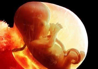 Ibu Perlu Tahu, Ada Syarat dan Persiapan Sebelum Melakukan Program Bayi Tabung