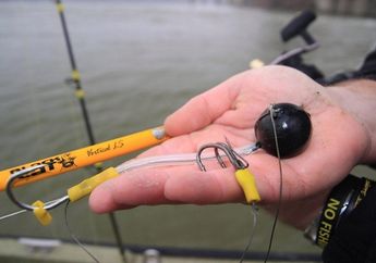 Luar Biasa! Seorang Pemancing Berhasil Tangkap Ikan Lele Monster 