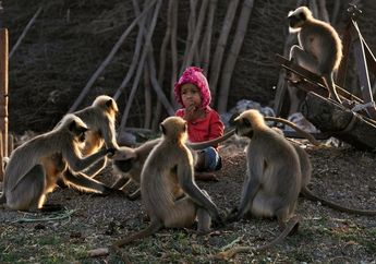 Dianggap Jelmaan Hanuman, Seorang Bocah Bersahabat Dengan Kawanan Kera