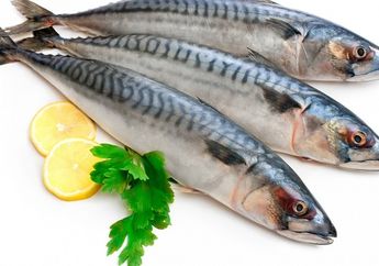 Nggak Disangka, Ikan Kembung Mengandung Omega 3 Lebih Banyak dari Ikan Salmon loh