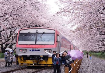 Yuk, Nikmati Perjalanan Kereta Berlatar Cantiknya Bunga Sakura di Jepang