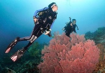 Makin Mesra, Nadine Chandrawinata Nyebur Bareng Dimas Anggara 