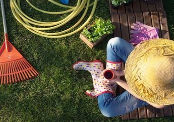 Intip nih 7 Tips Sukses Berkebun Bagi Pemula