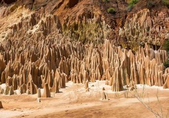 Mengintip Keindahan di Balik Ngerinya The Grand Tsingy, Hutan Batu Mematikan yang Mirip Planet Mars